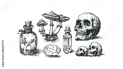 Sketchy collection of skulls, mushrooms, and potion bottles. Vector hand drawn illustration