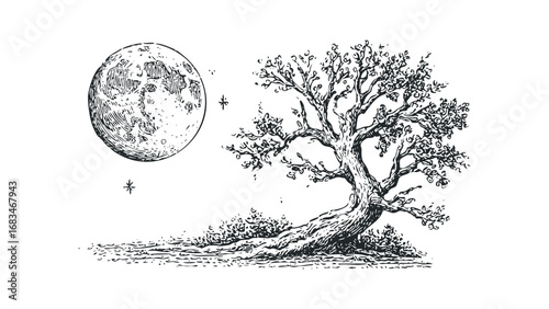 Old gnarled oak tree under a large detailed moon with stars. Vector hand drawn illustration
