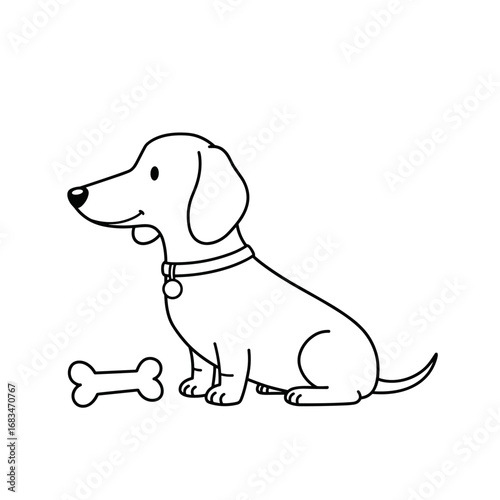 Dachshund coloring page. Printable dog with bone for kids learning activities