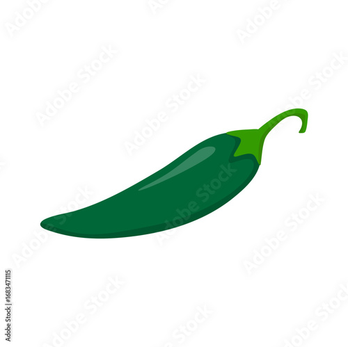 Green Chili Pepper on White Background. Vector Illustration