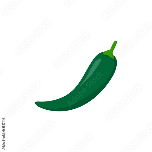 Green Chili Pepper on White Background. Vector Illustration