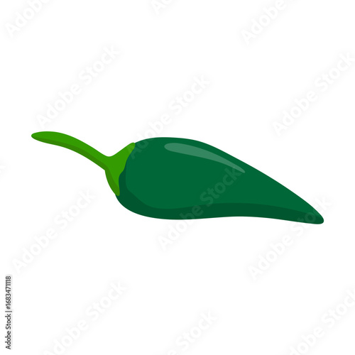 Green Chili Pepper on White Background. Vector Illustration