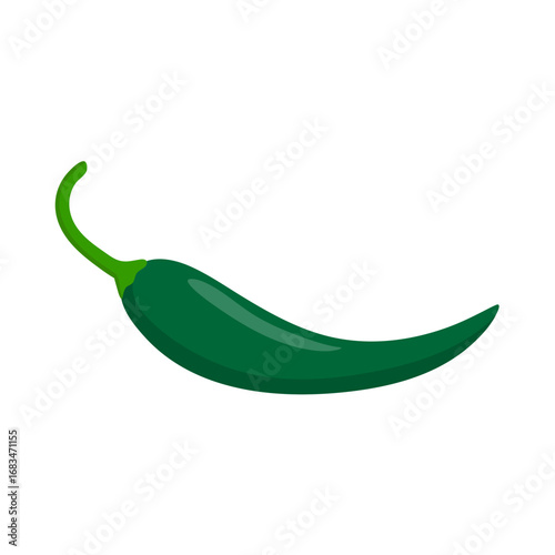Green Chili Pepper on White Background. Vector Illustration