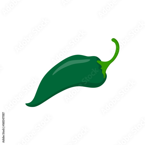 Green Chili Pepper on White Background. Vector Illustration