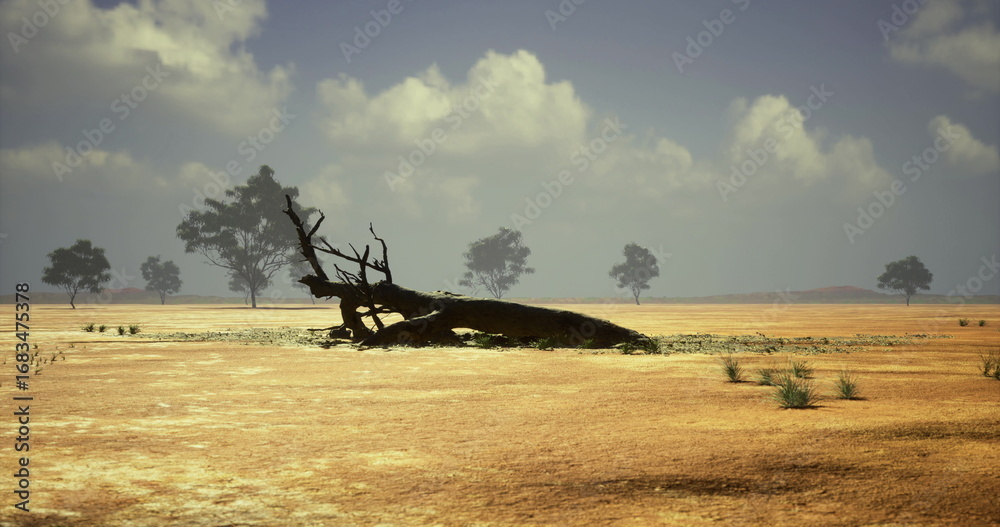 Fototapeta premium A barren landscape features a fallen tree lying on cracked earth, surrounded by sparse vegetation under a vast sky filled with soft clouds. The atmosphere reflects arid conditions.