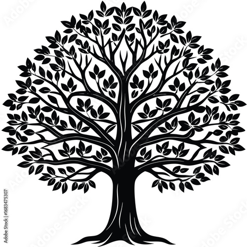 beech vector icon