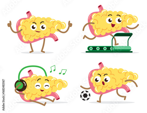 Healthy pancreas cartoon characters collection on isolated white background . Vector .