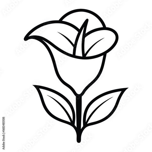 calla lily flower outline icon
