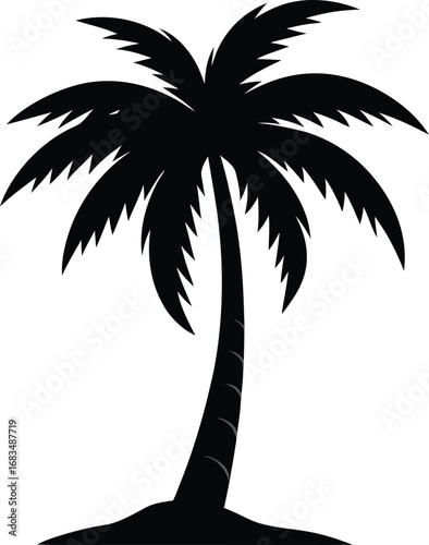 silhouette of palm tree