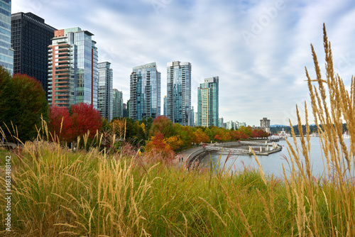 Coal Harbor Grass Roof Autumn View Vancouver. The view of fall colors in Coal Harbour from an environmentally friendly green roof.

