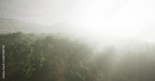 Ταπετσαρία Soft mist envelops the verdant hills as dawn breaks, creating an ethereal atmosphere