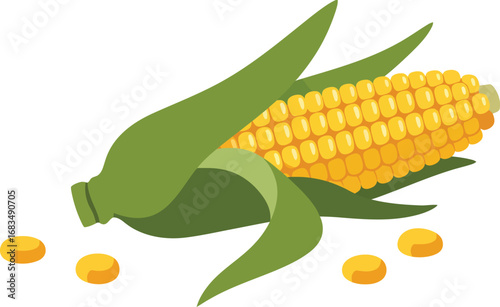A ripe ear of corn, partially shucked, rests on a white background with several kernels scattered nearby.
