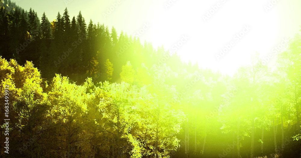 Fototapeta premium Golden sunlight streams through a dense forest, illuminating the vibrant yellow and green leaves of autumn trees, creating a tranquil atmosphere in nature.