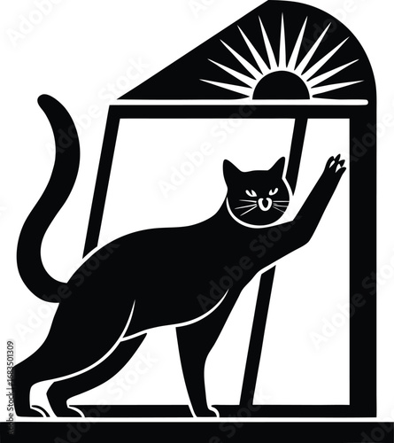 black cat on a window
