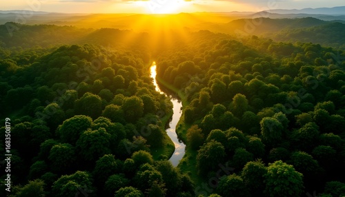 The stunning green Amazon forest is bathed in a warm golden light as the sun rises, casting a magical glow over the lush canopy and reflecting off the meandering rivers below