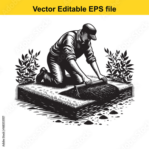 Gardener laying sod on a square patch of ground, vector illustration