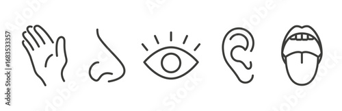 smell hearing touch taste sight icon set, five human senses icons, nose, eye, simple symbols, hand, ear, mouth linear vector illustration, outline images