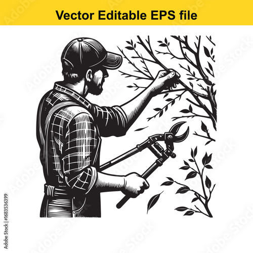Gardener pruning tree branches with shears, vector illustration