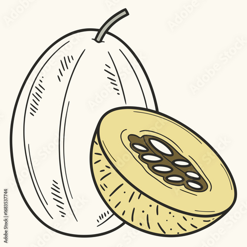 Delicious Cantaloupe Illustration A Fresh, Natural Design Element for Healthy Eating and Summer Vibes