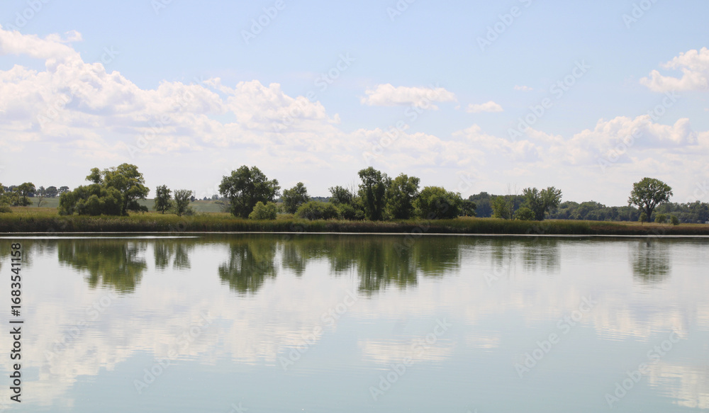Fototapeta premium reflection of trees in water