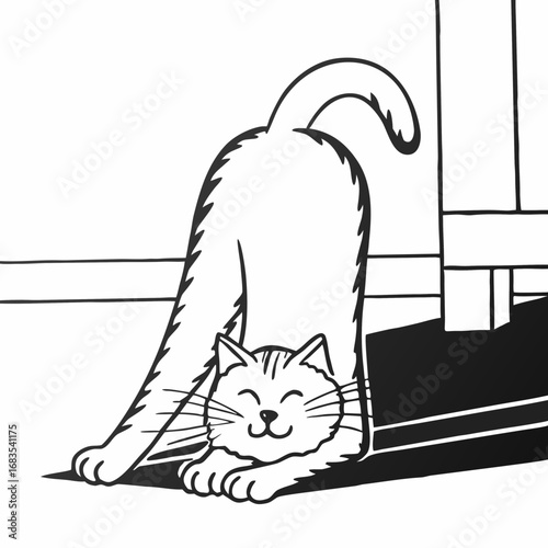 cat and mouse