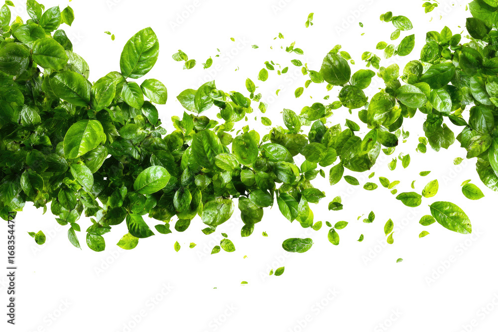 Fototapeta premium Abstract design of vibrant green leaves