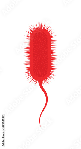 Microscopic rod shaped bacteria with flagellum and external hairs a common microorganism