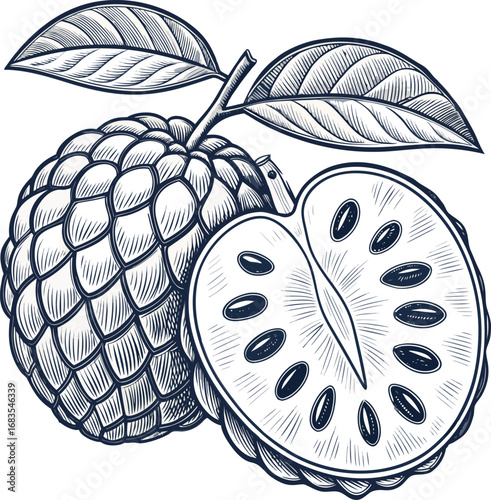 Custard Apple line art black design