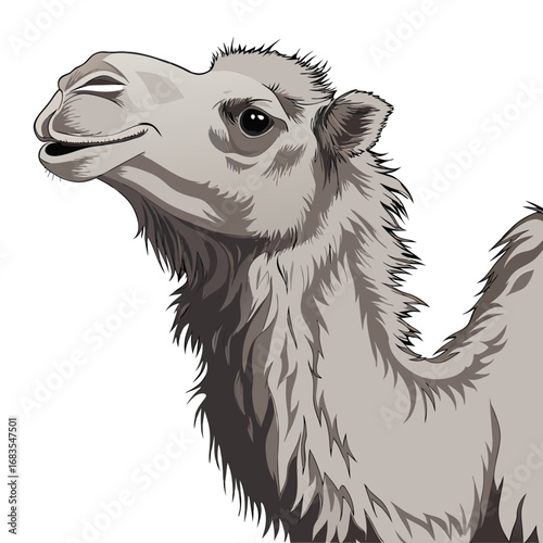 Artistic vector portrait of a happy dromedary camel's head. Detailed monochrome illustration of a desert animal isolated on a white background