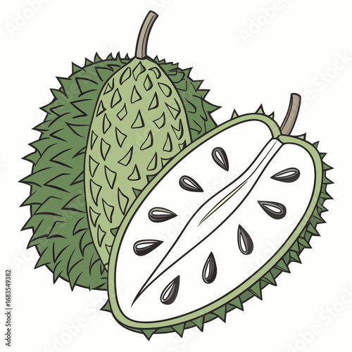 A detailed vector illustration of a tropical soursop fruit, shown whole and sliced in half to reveal its white pulp and black seeds