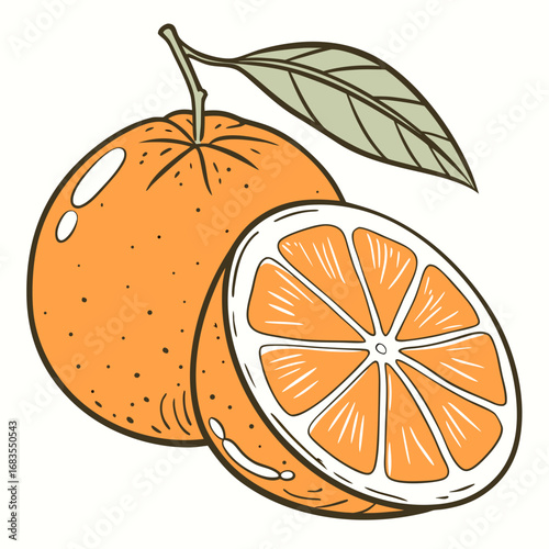 Vintage style sketch of a whole clementine orange with a green leaf and a cut half, showing fresh citrus fruit segments isolated on a white background