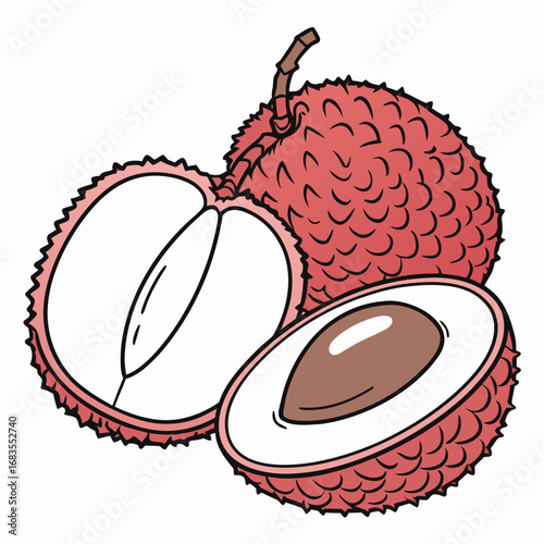 A vibrant illustration of a whole and halved lychee fruit, showcasing its red textured skin, translucent white pulp, and brown seed on a clean white background