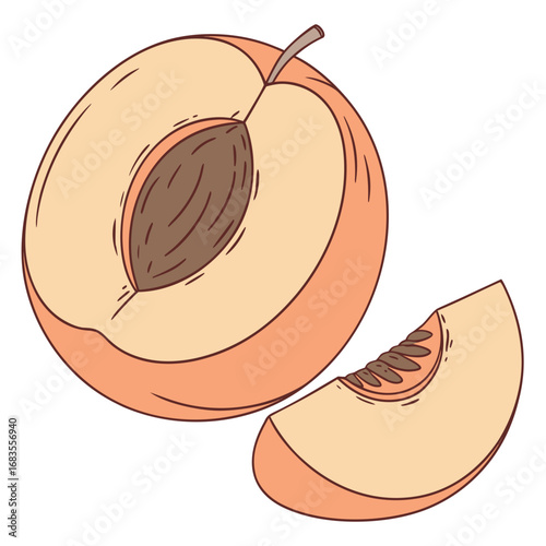 A detailed hand-drawn illustration of a ripe peach fruit, shown as a cross-section with the pit and a separate juicy slice