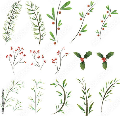 Watercolor Botanical Illustration of Christmas Greenery and Red Berries Isolated on White Background