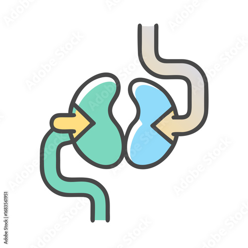 Digestive System Illustration with Arrows on Black Background