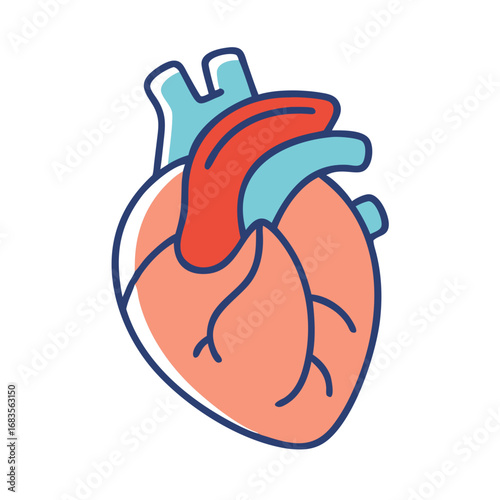 Stylized heart illustration with anatomical details on black background