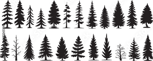 Evergreen tree silhouettes set on white background, pine trees, fir trees, tall coniferous trees, isolated black and white vector illustrations, premium forest tree line, wilderness landscape, woodlan