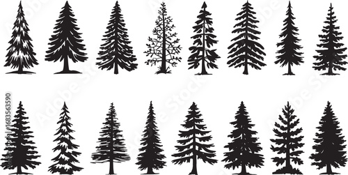 A festive set of winter forest trees, including pine and fir silhouettes, for your Christmas and holiday nature illustrations	
