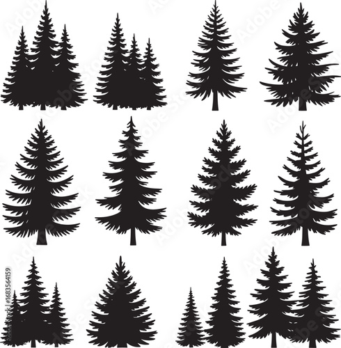 Silhouettes of Pine and Fir Trees in a Natural Forest Setting – Vector Design	
