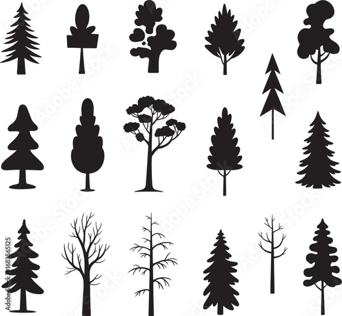 Silhouettes of various evergreen trees in a forest
