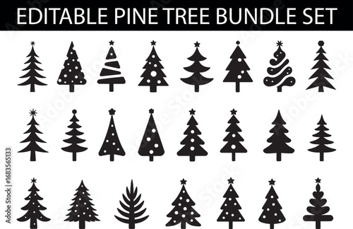 Silhouettes of various evergreen trees in a forest