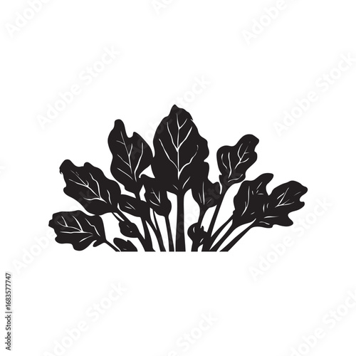 Collard Greens Vector (1).eps