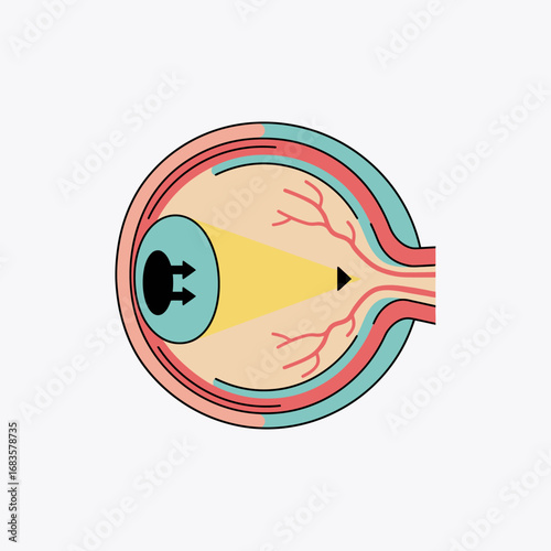Stylized Eye Anatomy Illustration Depicting Light Path and Detailed Structures.