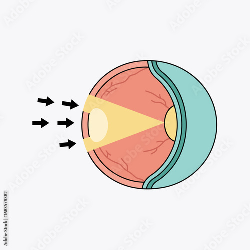 Stylized Human Eye Anatomy with Light Rays and Black Arrows Illustration.