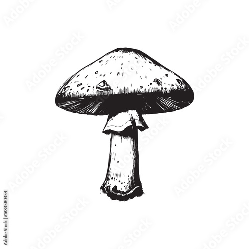 Mushroom Vector (3).eps
