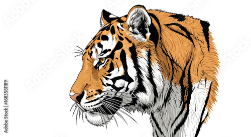A striking close-up illustration of a tiger's head in profile, showcasing its distinctive orange fur, black stripes, and intense gaze against a clean white background.