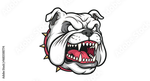 Fierce bulldog portrait with spiked collar aggressively growling with sharp teeth bared showing determination and strength