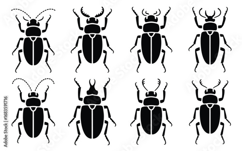 Vector art of collection of various beetle silhouettes, showcasing diverse shapes and patterns of these fascinating insects