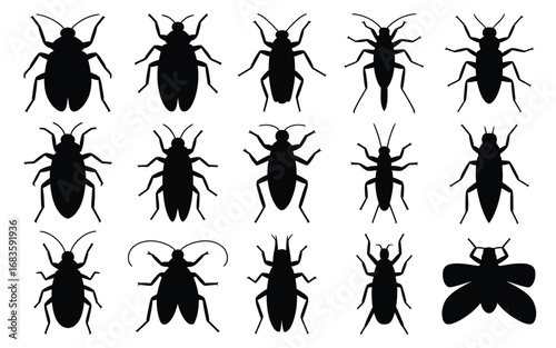 Vector art of silhouette of various insects, including cockroaches and flies, a collection of fifteen vector images in black color