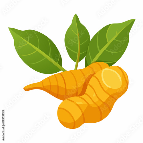 Fresh Turmeric Rhizomes with Leaves